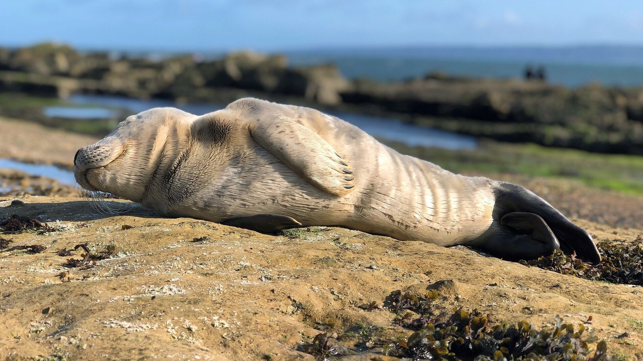 Photo of Others in Muston