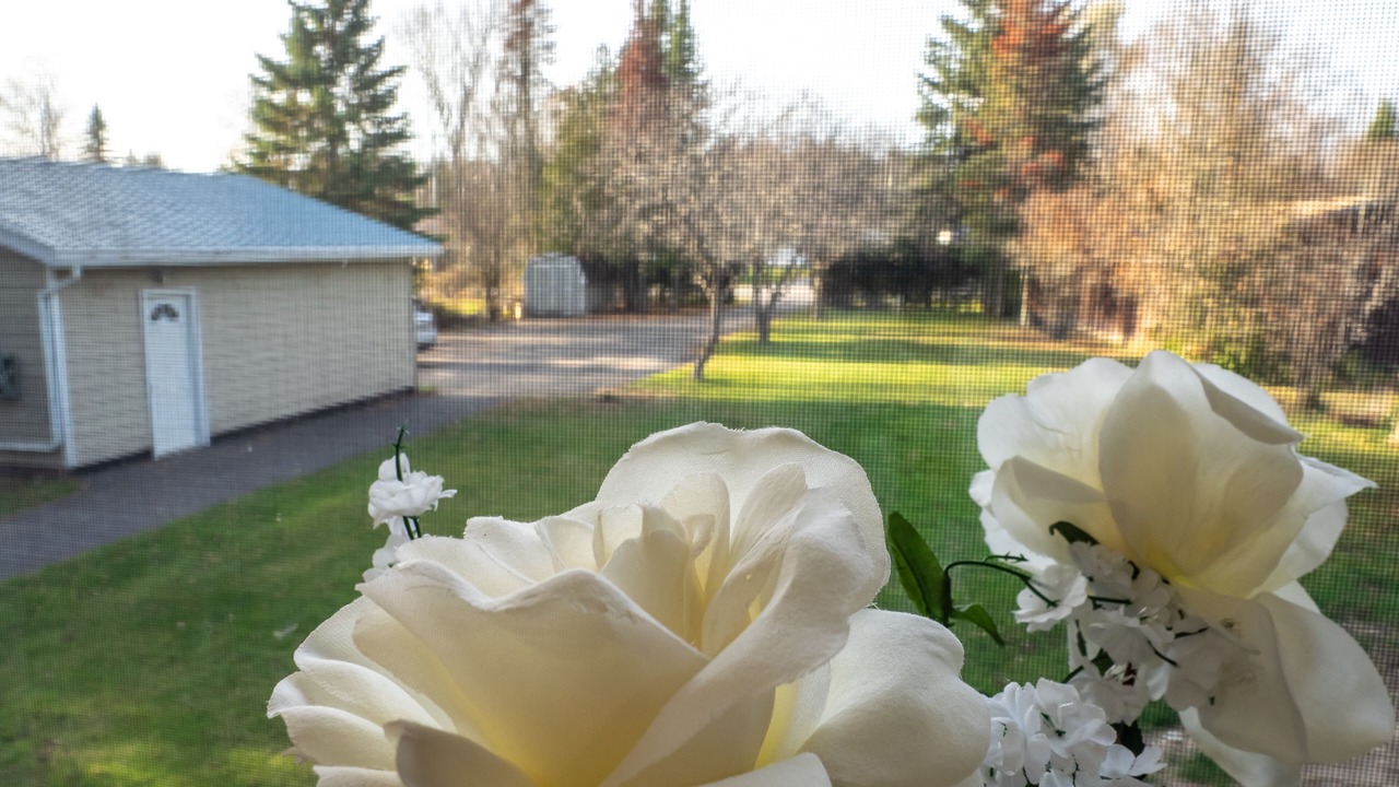 Photo of Outdoor in Fenelon Falls