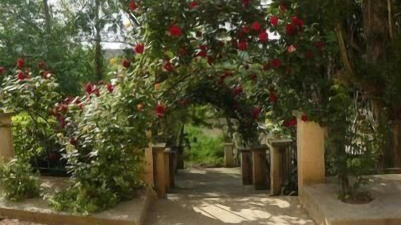 Photo of Outdoor in Ainzon