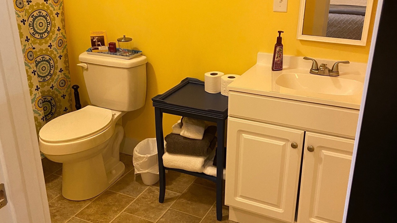 Photo of Bathroom in Albemarle