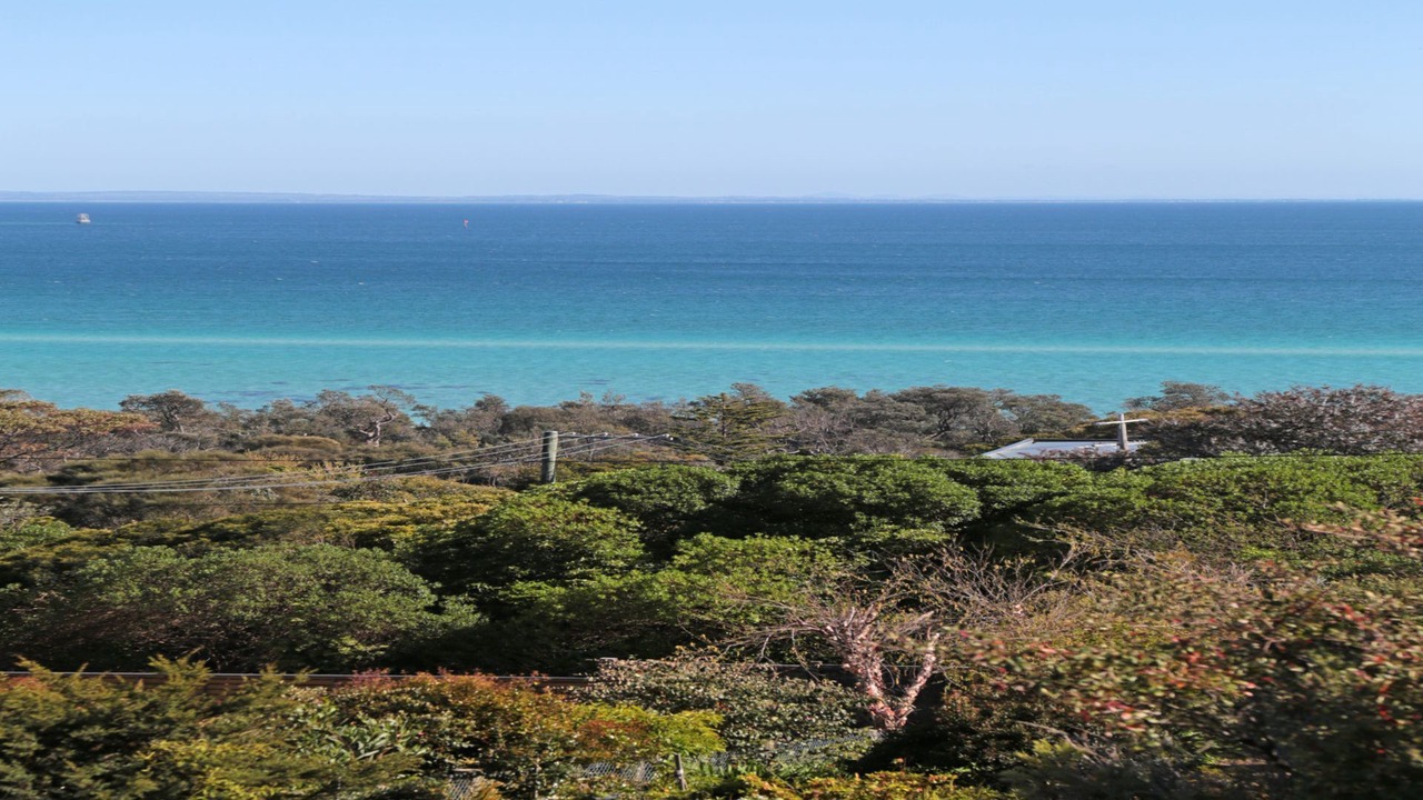 Photo of Others in McCrae