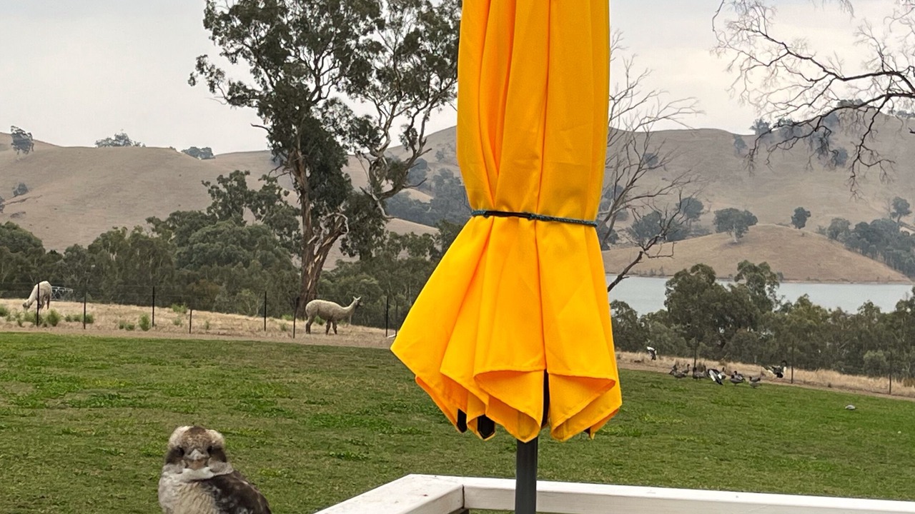 Photo of Others in Mansfield