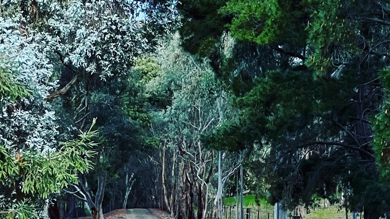 Photo of Others in Mansfield