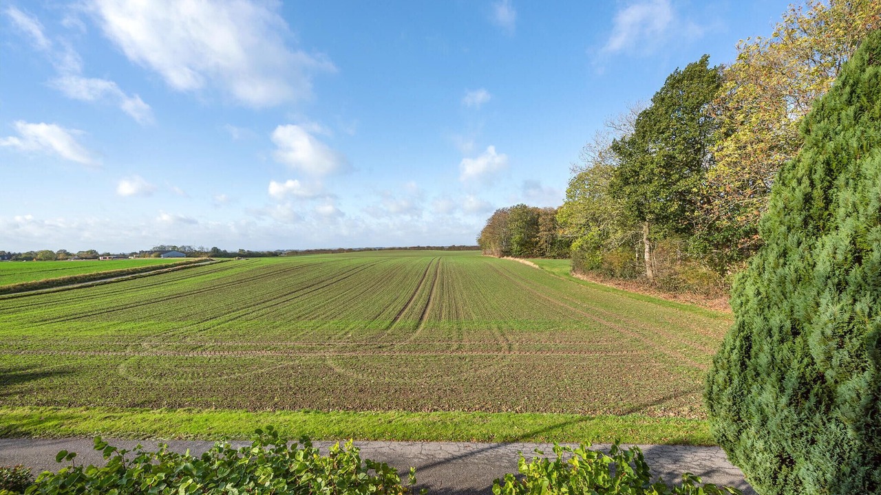 Photo of Bedroom in Asserballeskov