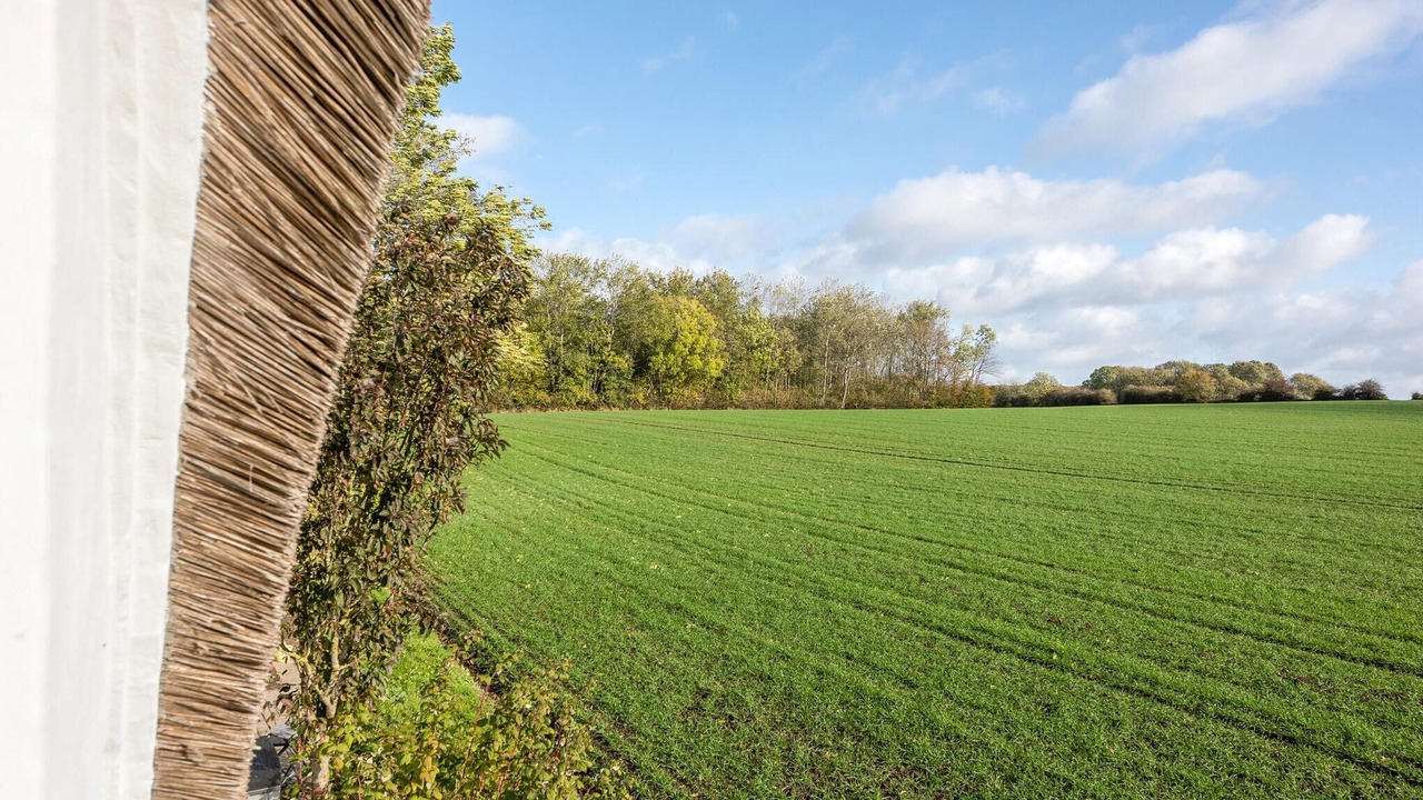 Photo of Bedroom in Asserballeskov