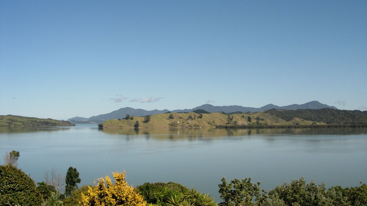 Photo of Others in Rawene