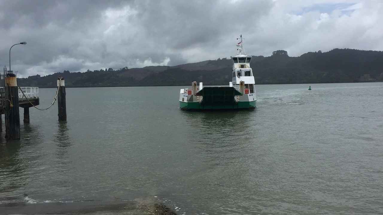 Photo of Others in Rawene