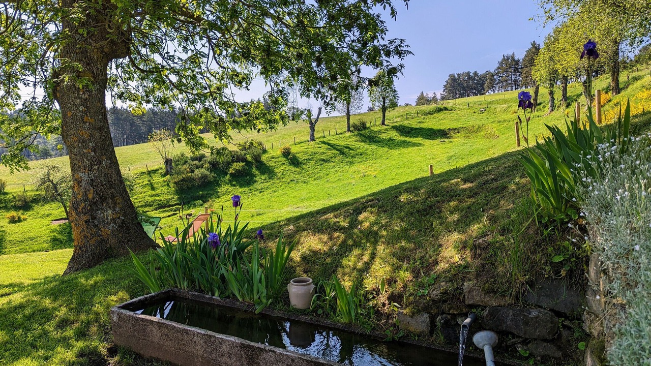 Photo of Outdoor in Saint-Prejet-d'Allier