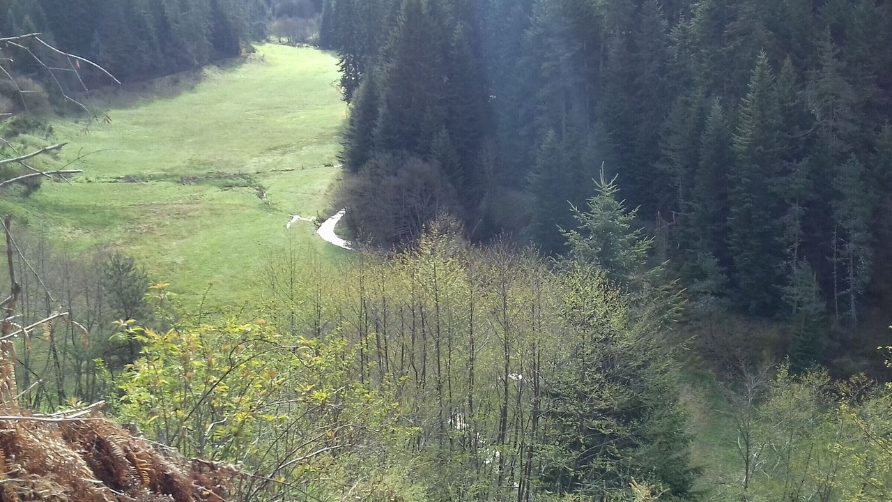 Photo of Others in Saint-Julien-Molhesabate
