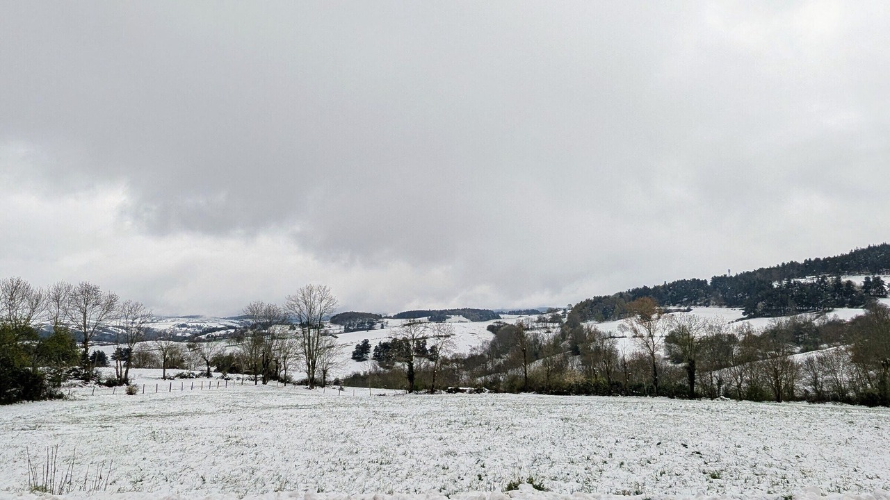 Photo of Others in Ferrussac