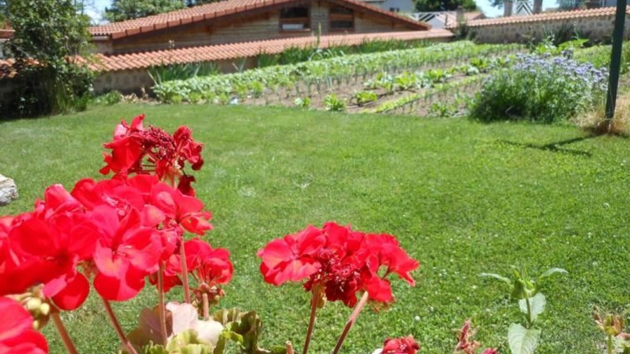 Photo of Outdoor in Saint-Georges-Lagricol