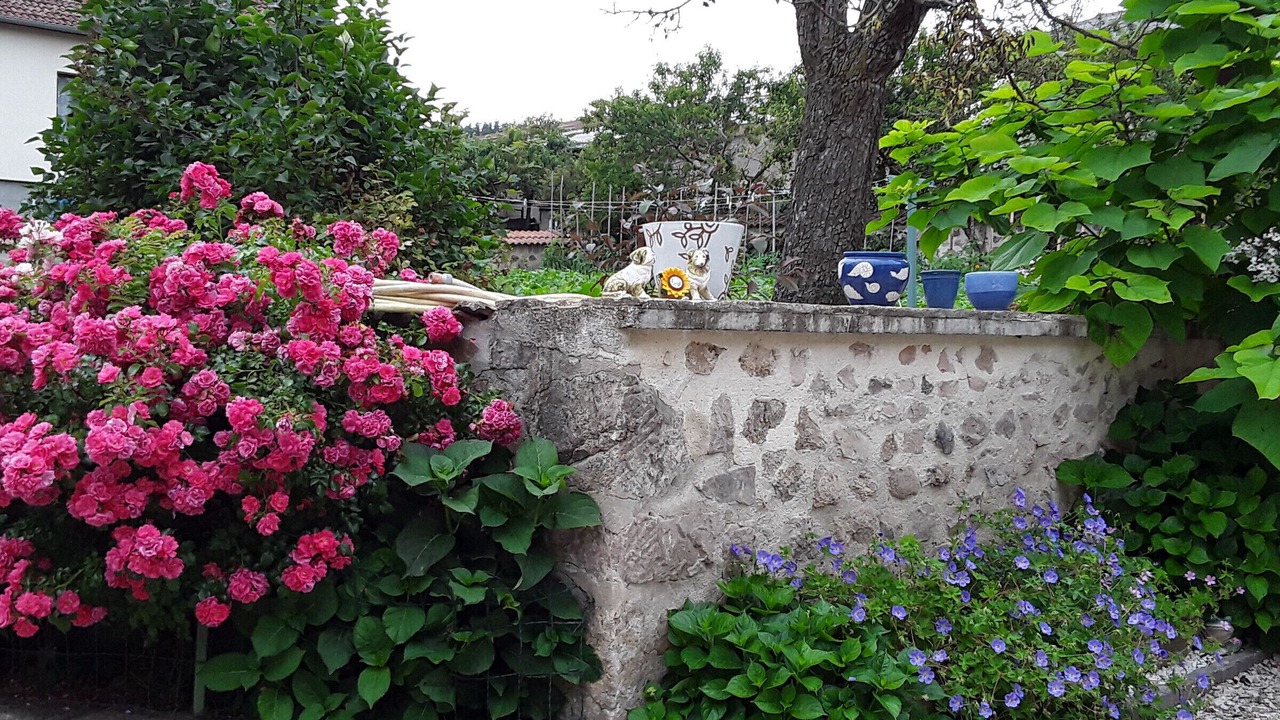 Photo of Outdoor in Saint-Georges-Lagricol