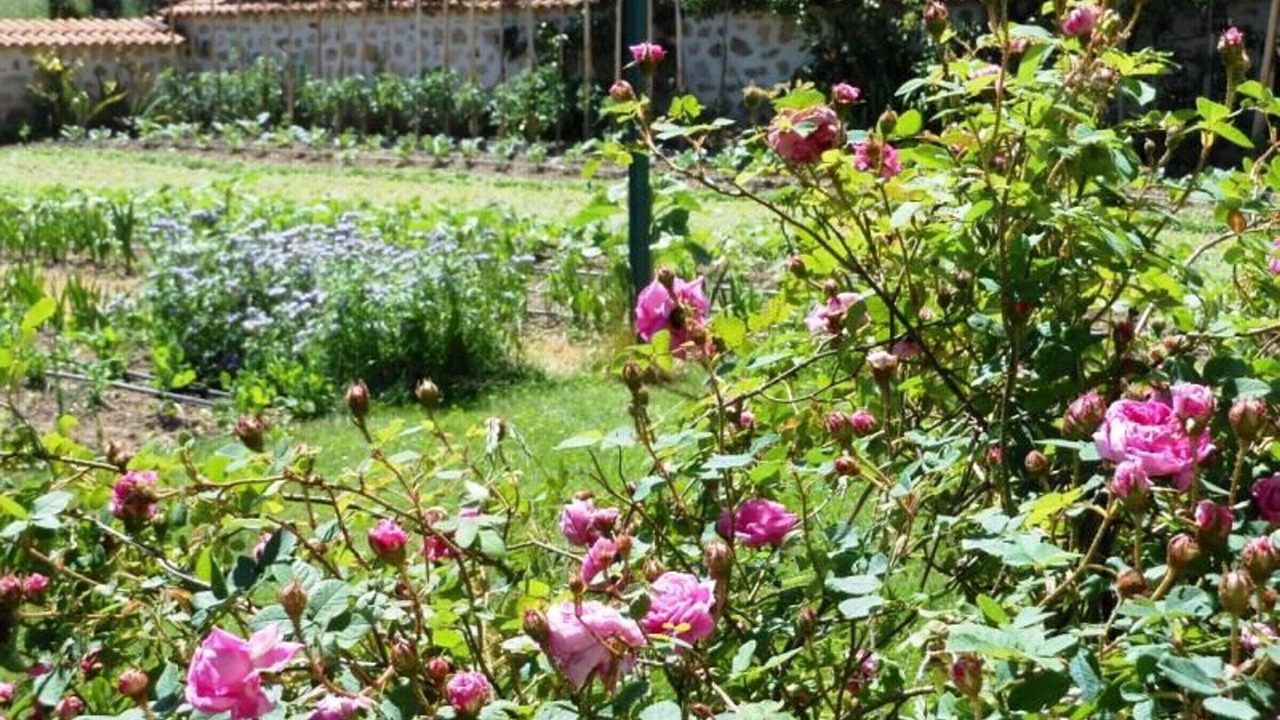 Photo of Outdoor in Saint-Georges-Lagricol
