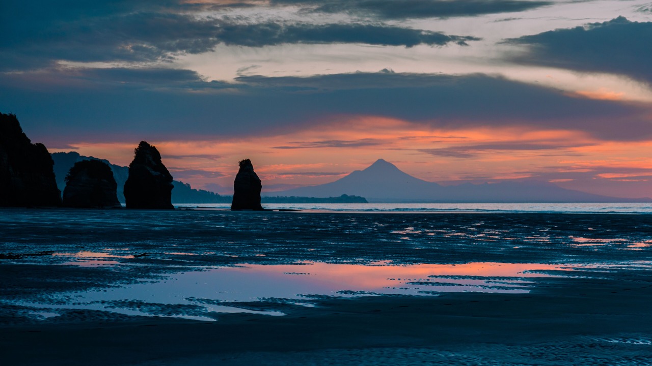 Photo of Others in Tongaporutu