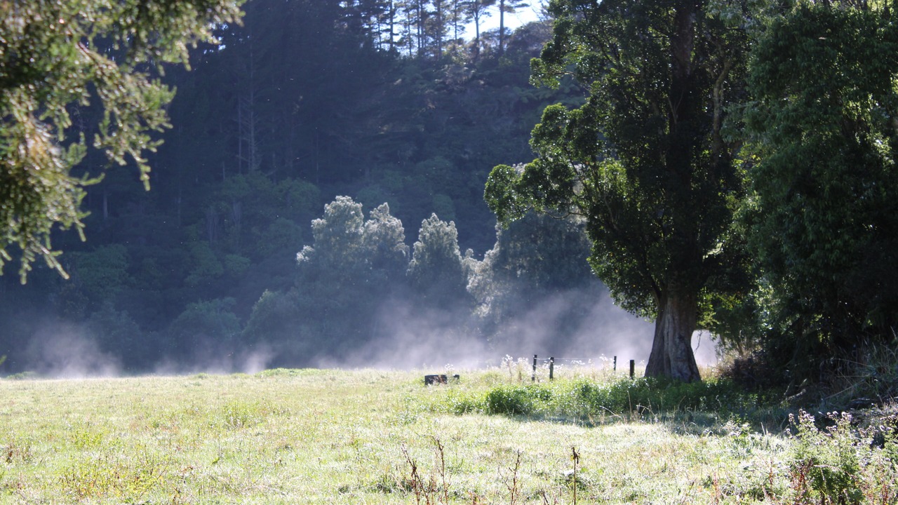 Photo of Outdoor in Tongaporutu