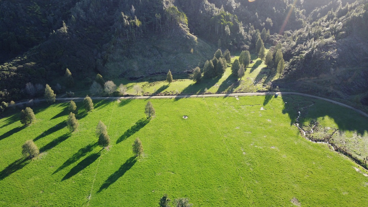 Photo of Outdoor in Tongaporutu