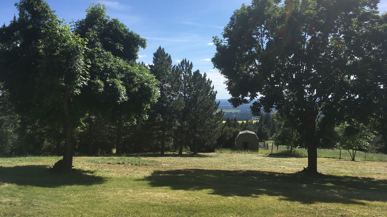 Photo of Others in Mica