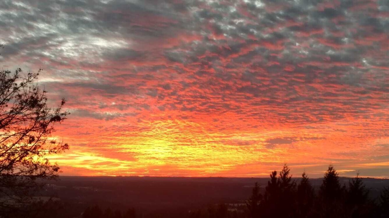 Photo of Others in Mica