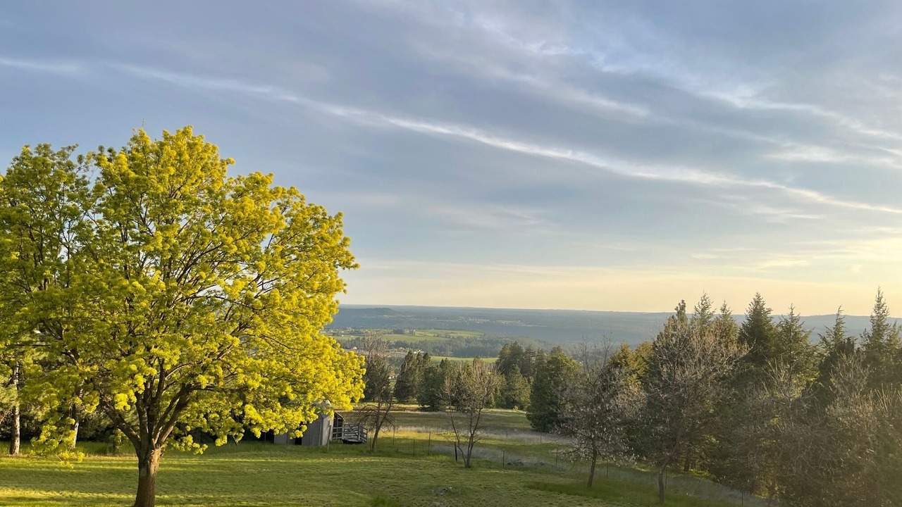 Photo of Others in Mica