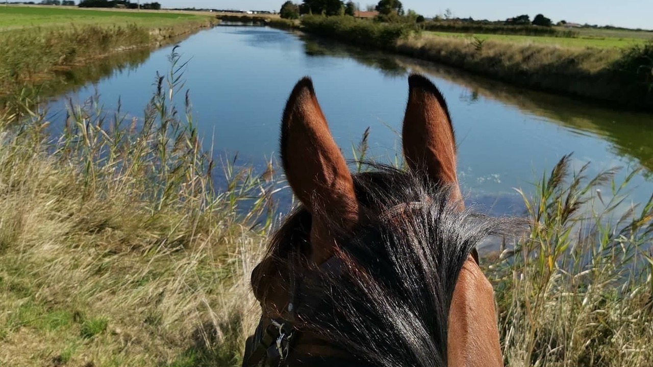 Photo of Outdoor in La Barre-de-Monts