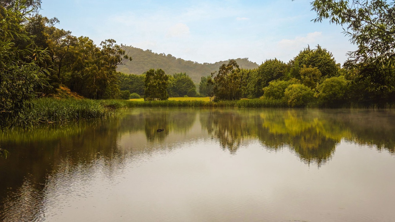 Photo of Others in Flowerdale
