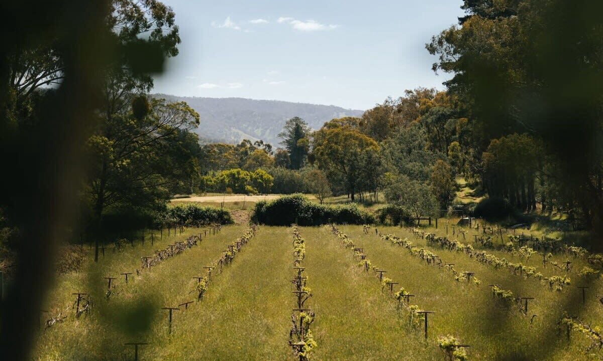 Photo of Outdoor in Flowerdale