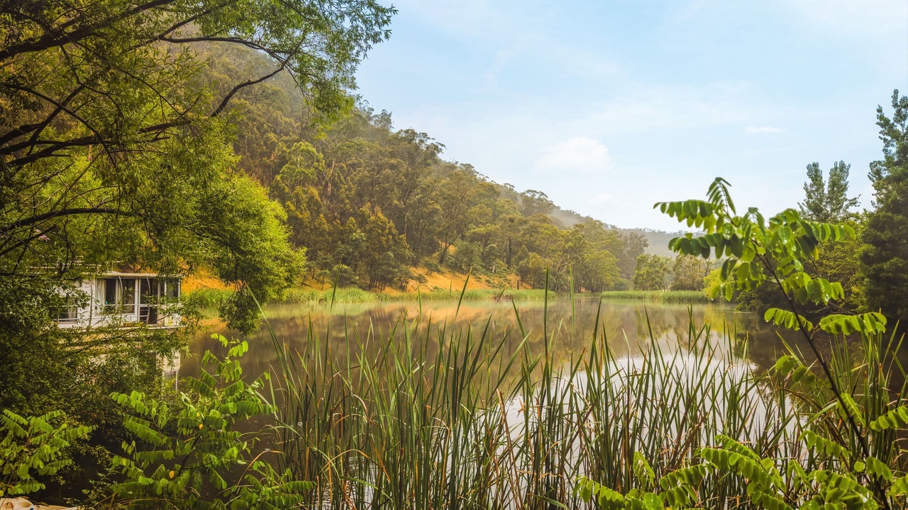 Photo of Outdoor in Flowerdale
