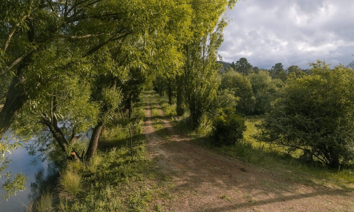 Photo of Outdoor in Flowerdale