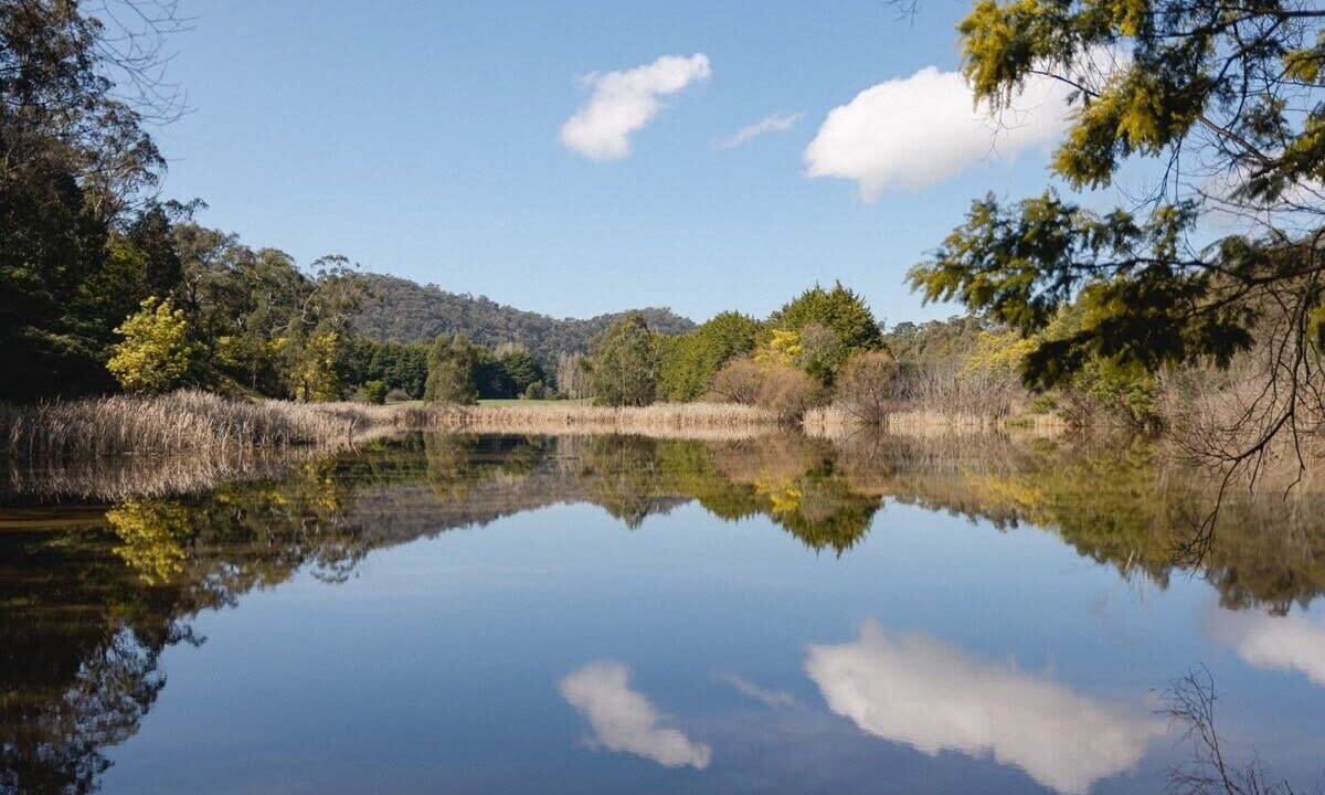 Photo of Outdoor in Flowerdale