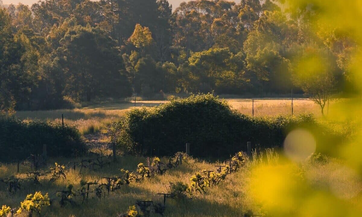 Photo of Bathroom in Flowerdale
