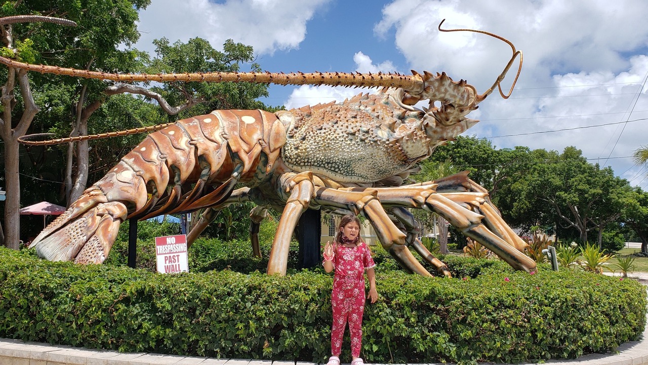 Photo of Others in Key Largo