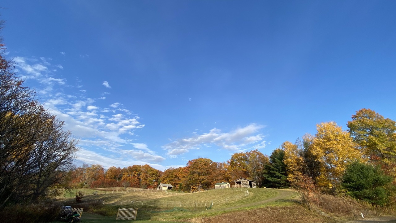 Photo of Others in Norwich