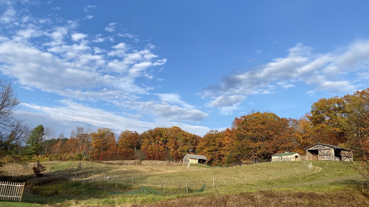 Photo of Others in Norwich
