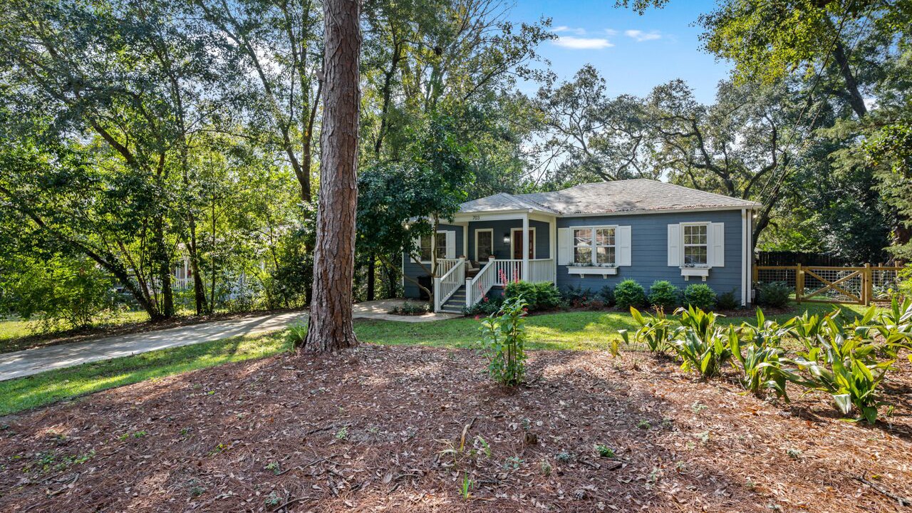 Photo of Outdoor in Tallahassee