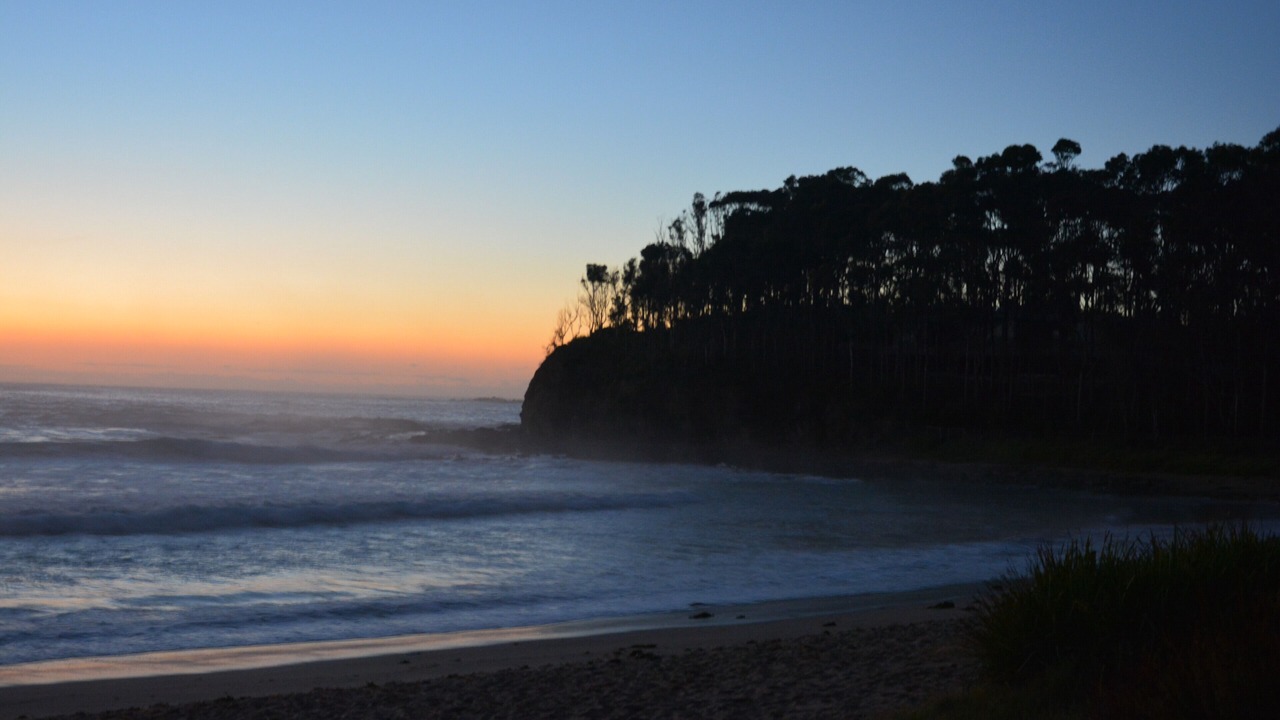 Photo of Others in Malua Bay