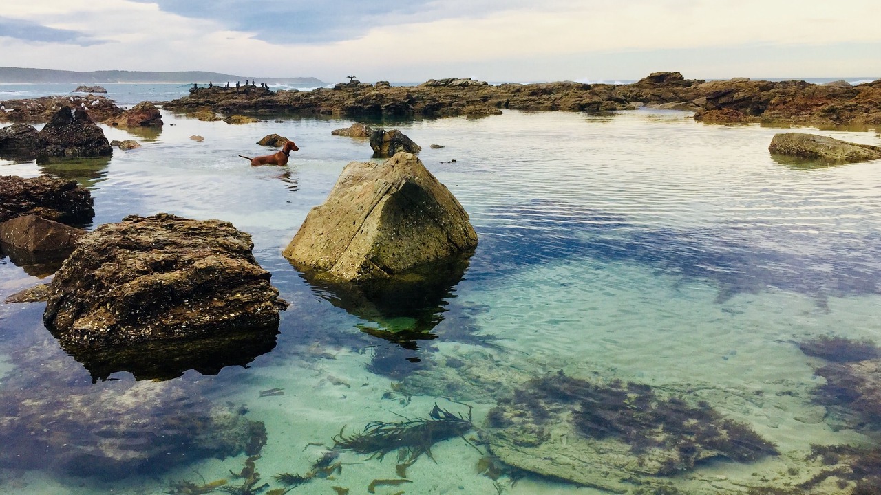 Photo of Others in Malua Bay
