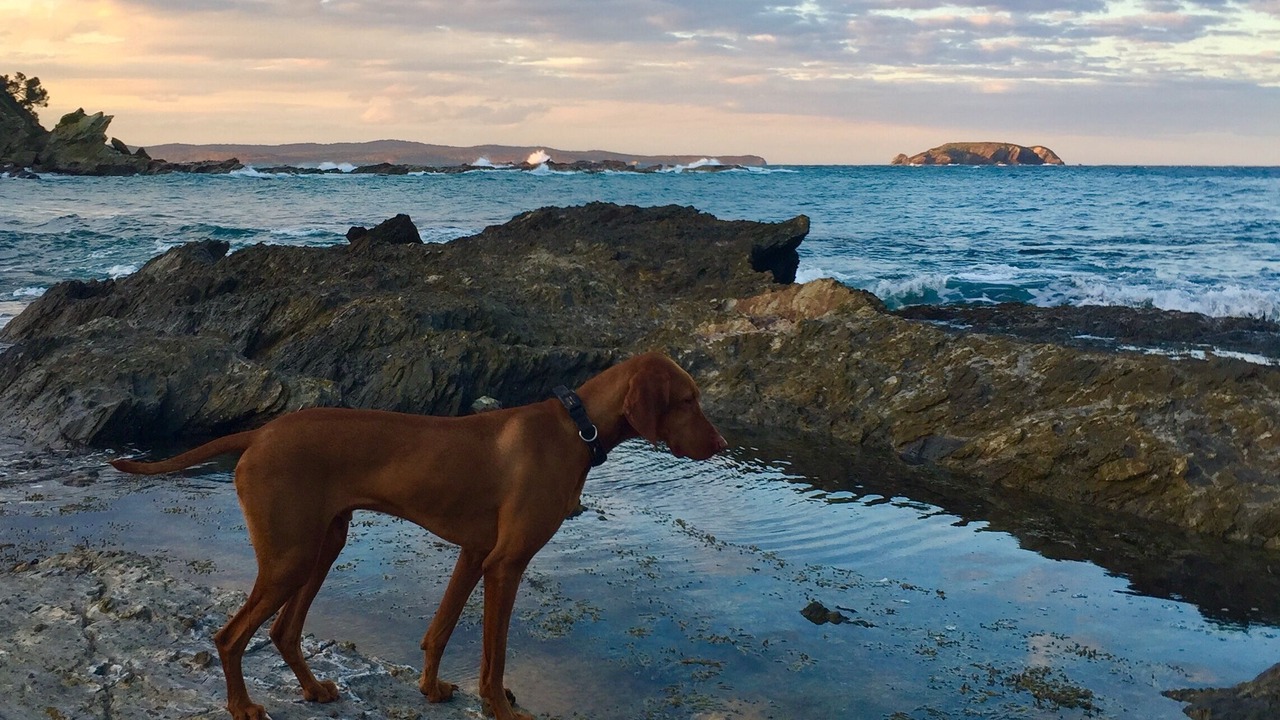Photo of Outdoor in Malua Bay