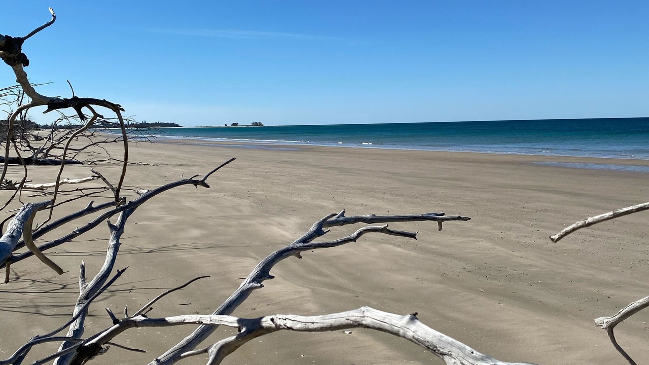 Photo of Others in Elliott Heads