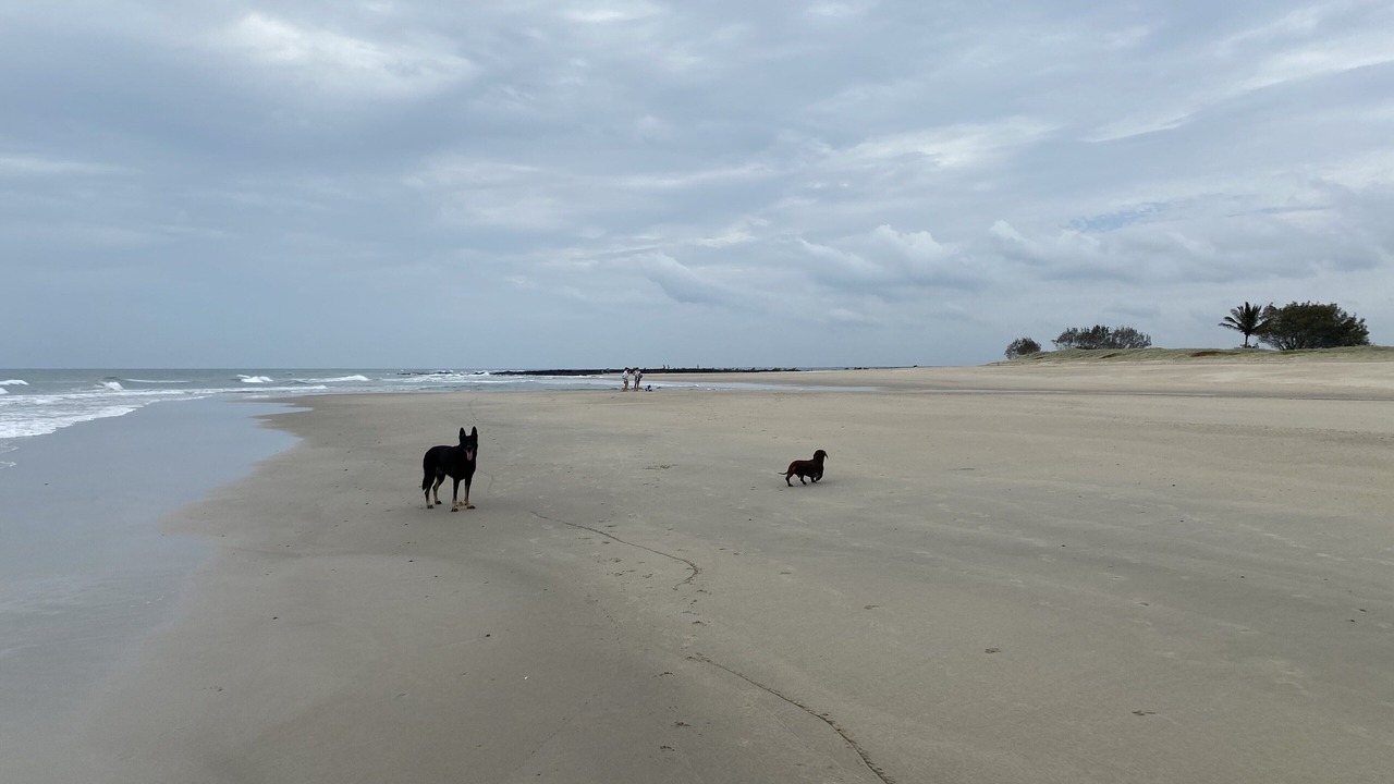 Photo of Others in Elliott Heads