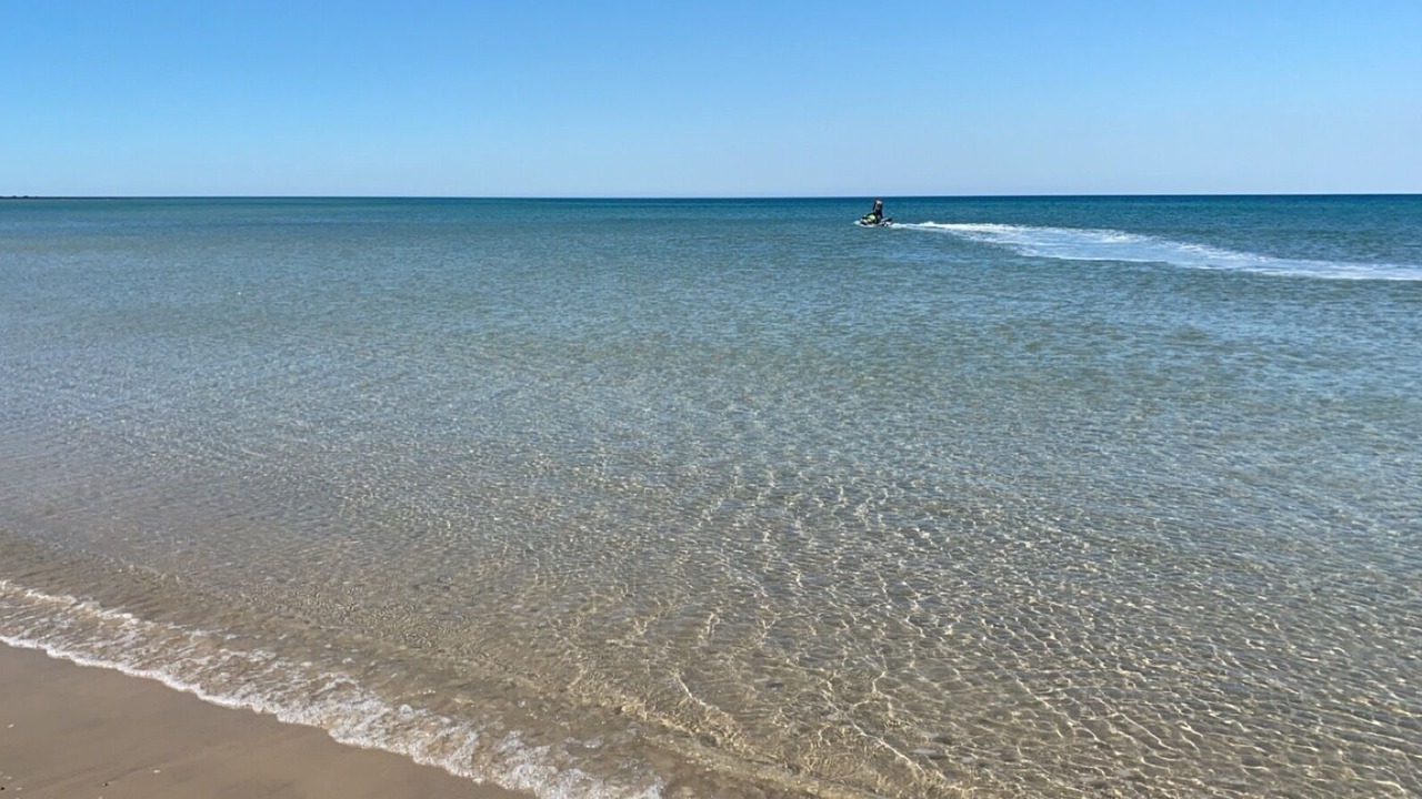 Photo of Others in Elliott Heads