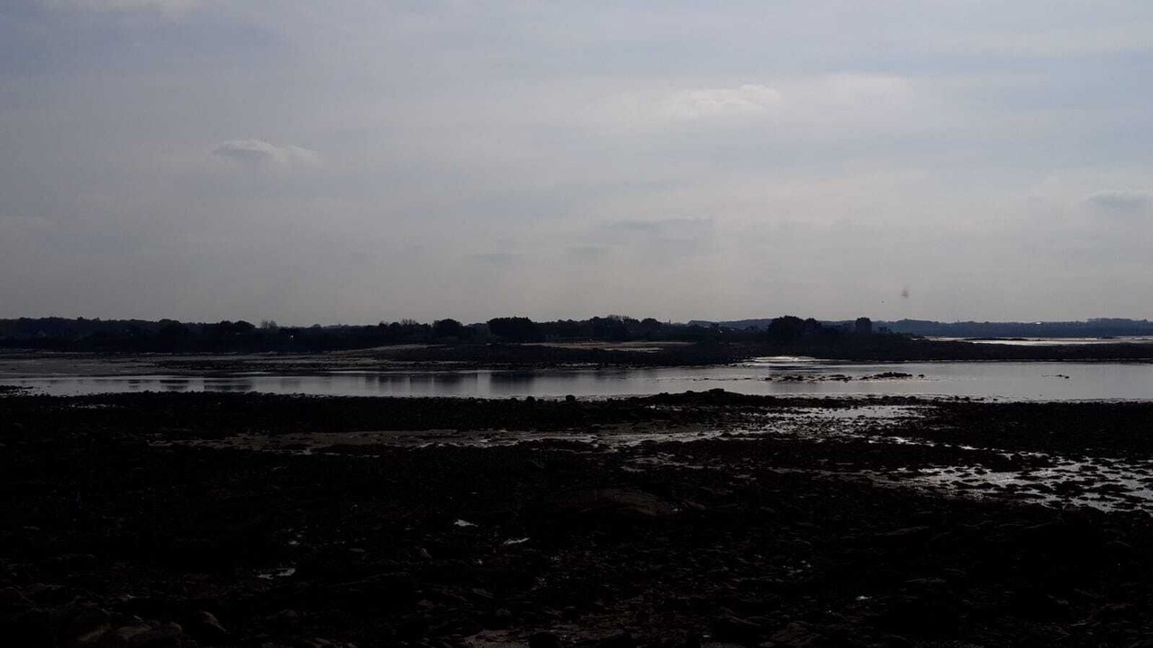 Photo of Others in Santec