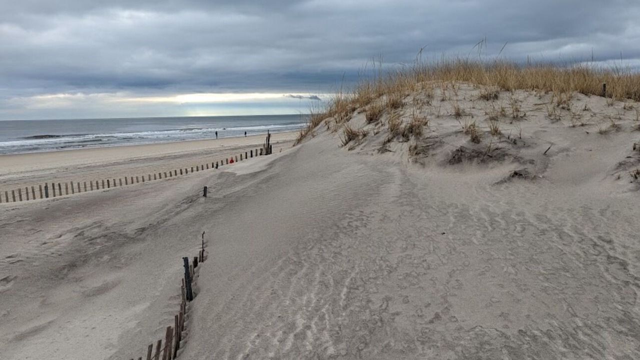 Photo of Others in Bay Shore