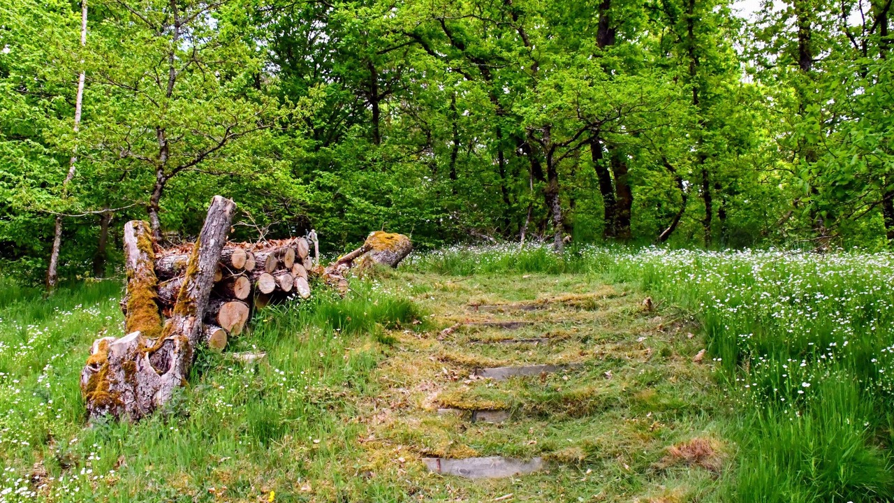 Photo of Outdoor in Taintrux