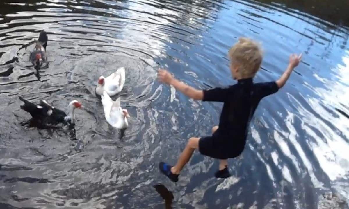 Photo of Others in Eungella