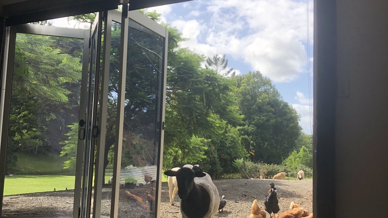 Photo of Others in Eungella