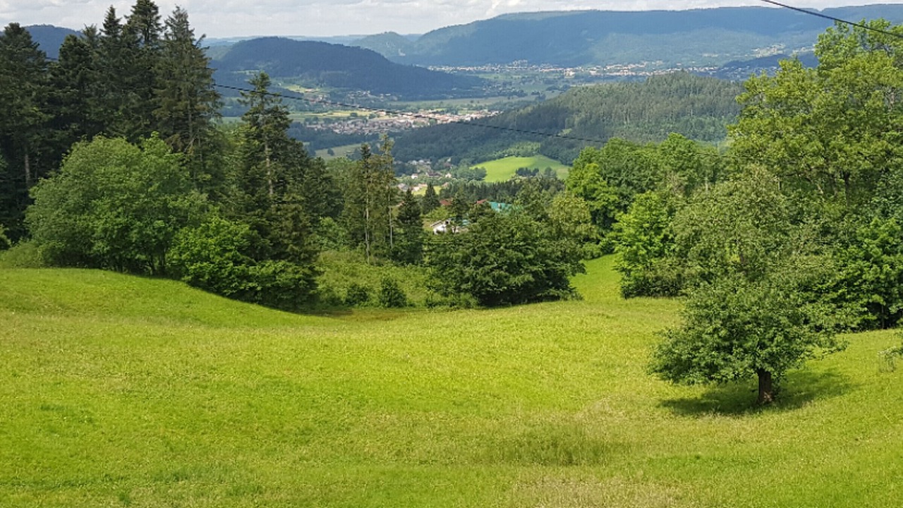 Photo of Others in Gerbamont