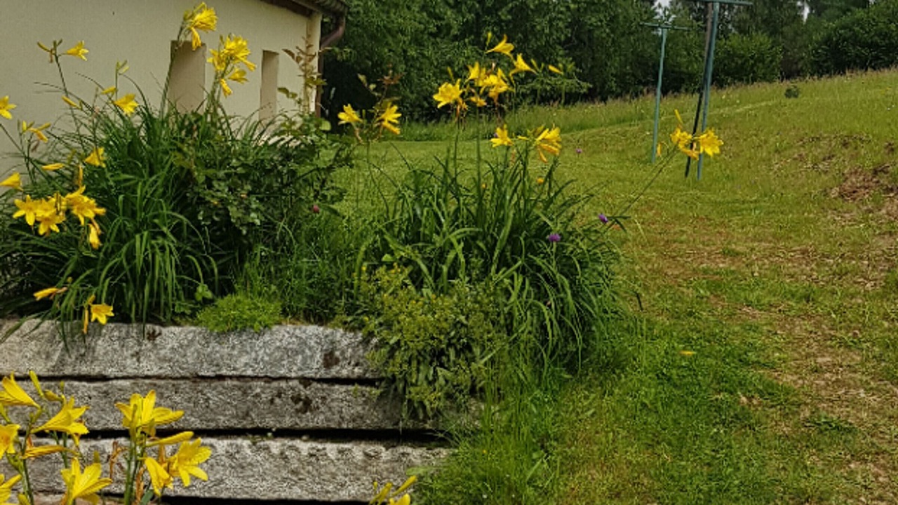 Photo of Outdoor in Gerbamont