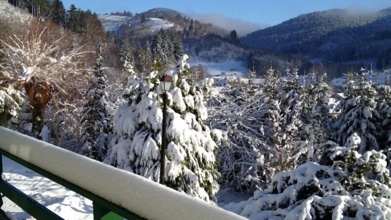 Photo of Outdoor in Lubine
