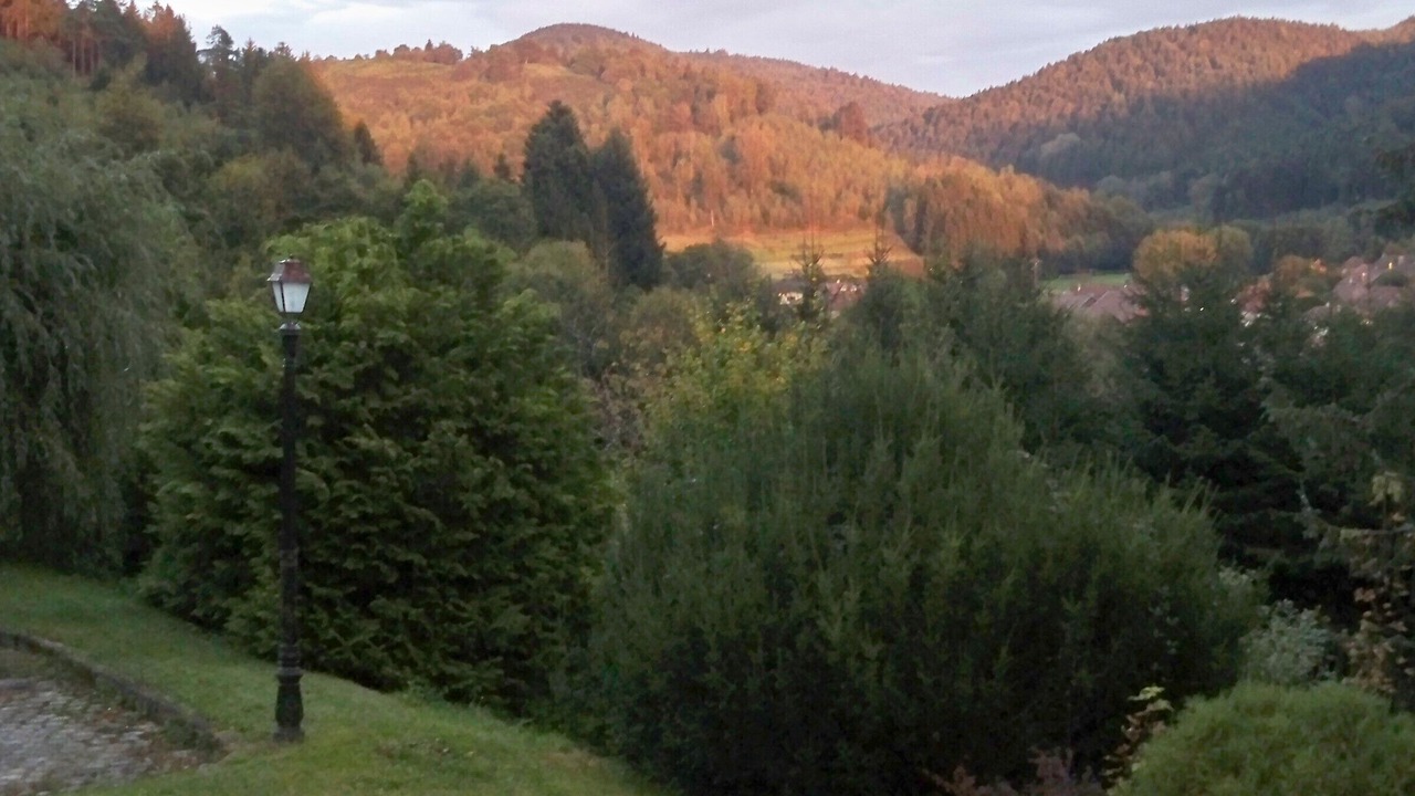Photo of Outdoor in Lubine