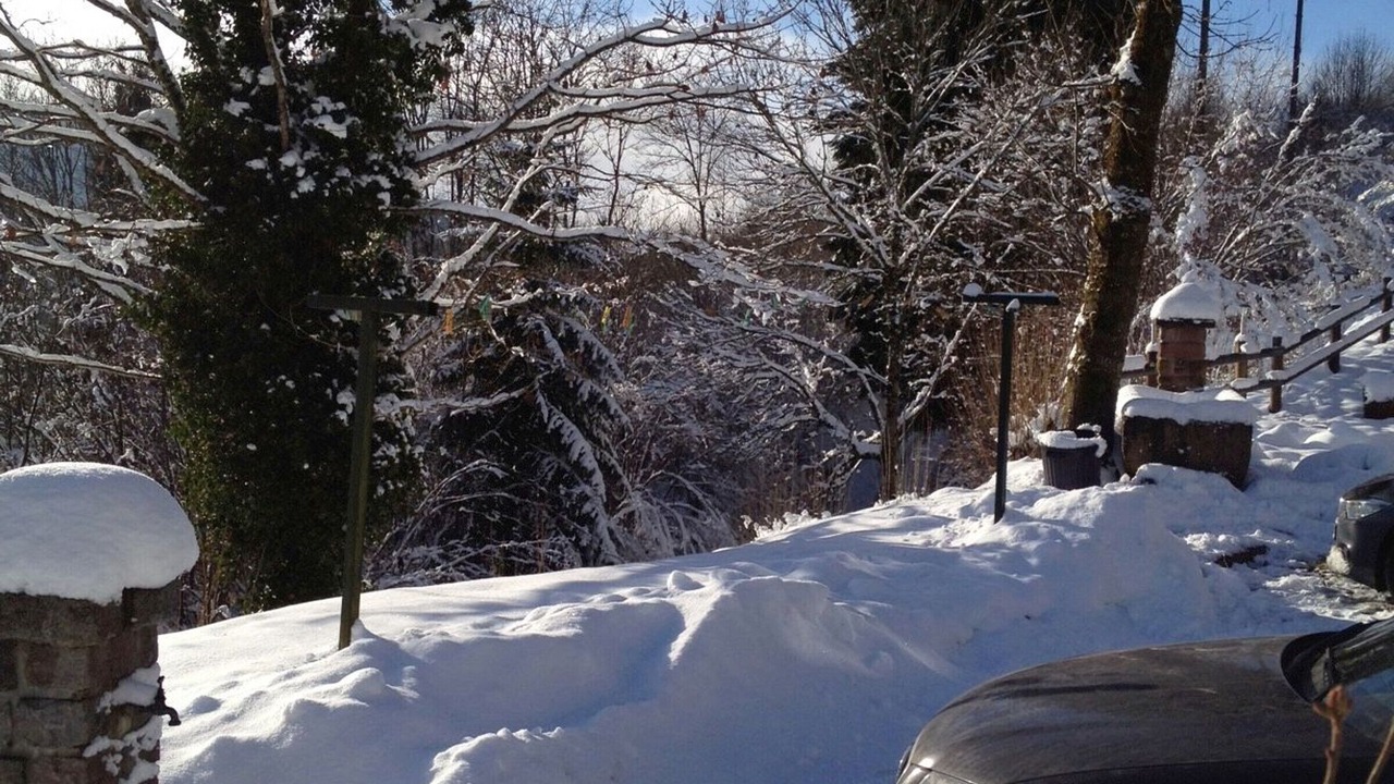Photo of Outdoor in Lubine